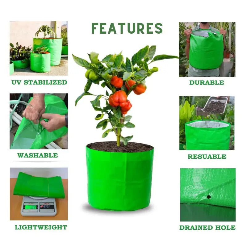 24*18 Inch - 260 GSM Grow Bags for Fruits & Vegetables